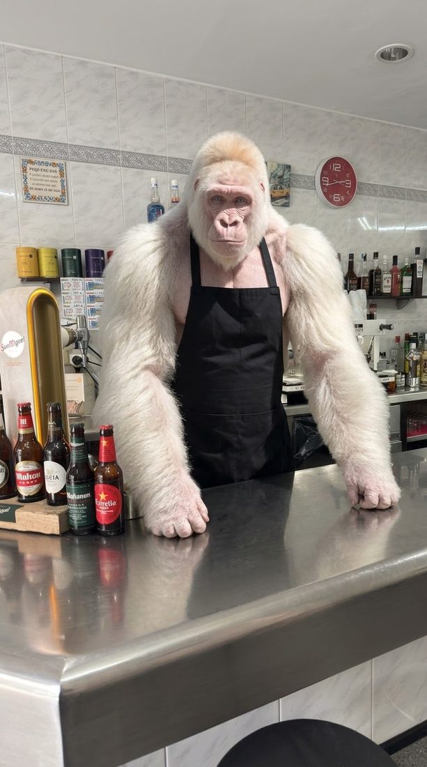 Gorila albino de bartender, avistamiento viral generado con IA